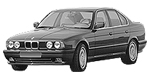 BMW E34 C0495 Fault Code